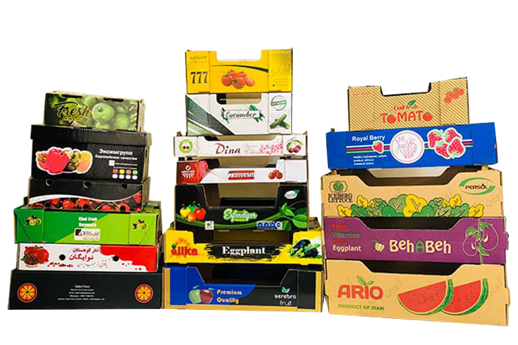 نمونه جعبه و کارتن صیفی جات